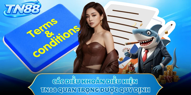 Các điều khoản điều kiện TN88 quan trọng được quy định